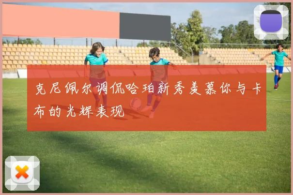 克尼佩尔调侃哈珀新秀羡慕你与卡布的光辉表现