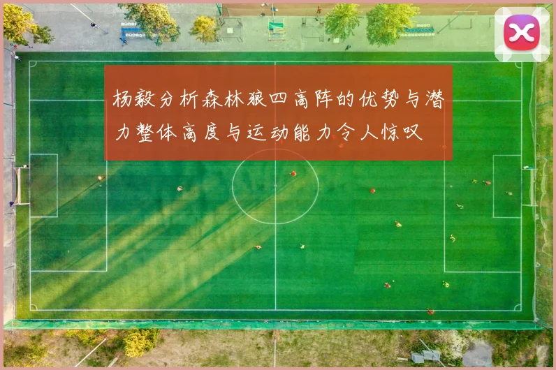 杨毅分析森林狼四高阵的优势与潜力整体高度与运动能力令人惊叹
