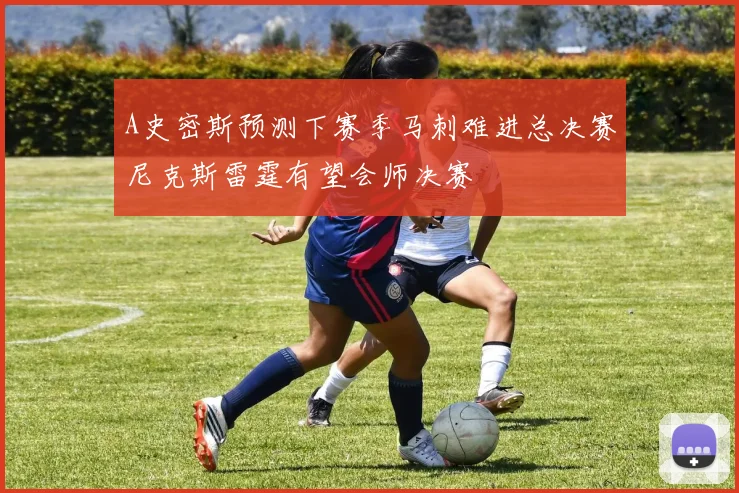 A史密斯预测下赛季马刺难进总决赛尼克斯雷霆有望会师决赛