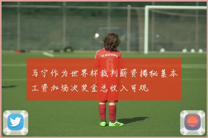 马宁作为世界杯裁判薪资揭秘基本工资加场次奖金总收入可观